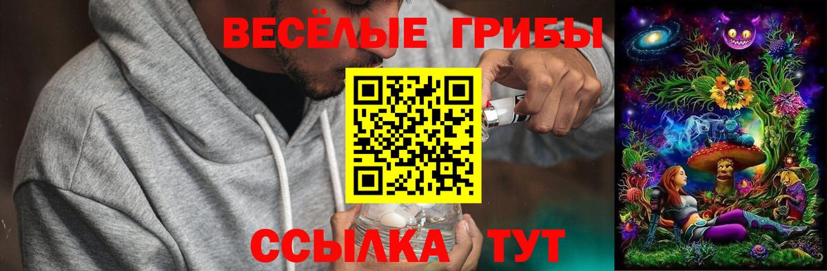 Избербаш  Псилоцибиновые грибы MAGIC MUSHROOMS  Вход с VPN 